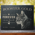 Personalized black slate pet memorial plaque engraved with a cat portrait, the name 'BOOSTER GOLD,' 'FOREVER in our hearts,' a paw print, and dates, displayed on a wooden surface with a blurred outdoor background.