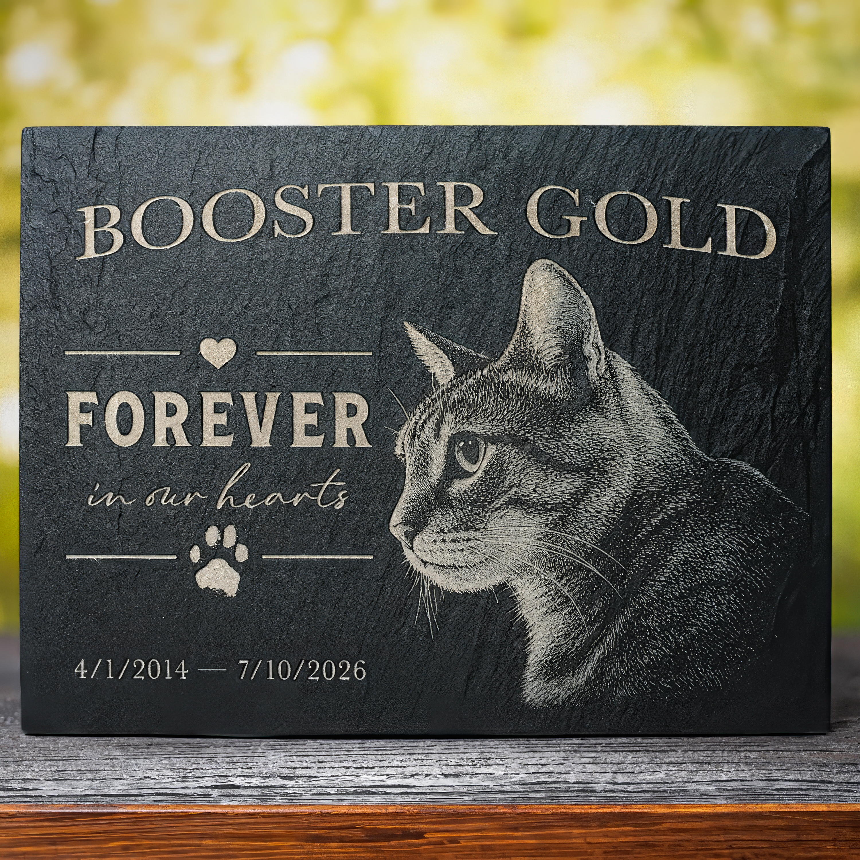 Personalized black slate pet memorial plaque engraved with a cat portrait, the name 'BOOSTER GOLD,' 'FOREVER in our hearts,' a paw print, and dates, displayed on a wooden surface with a blurred outdoor background.