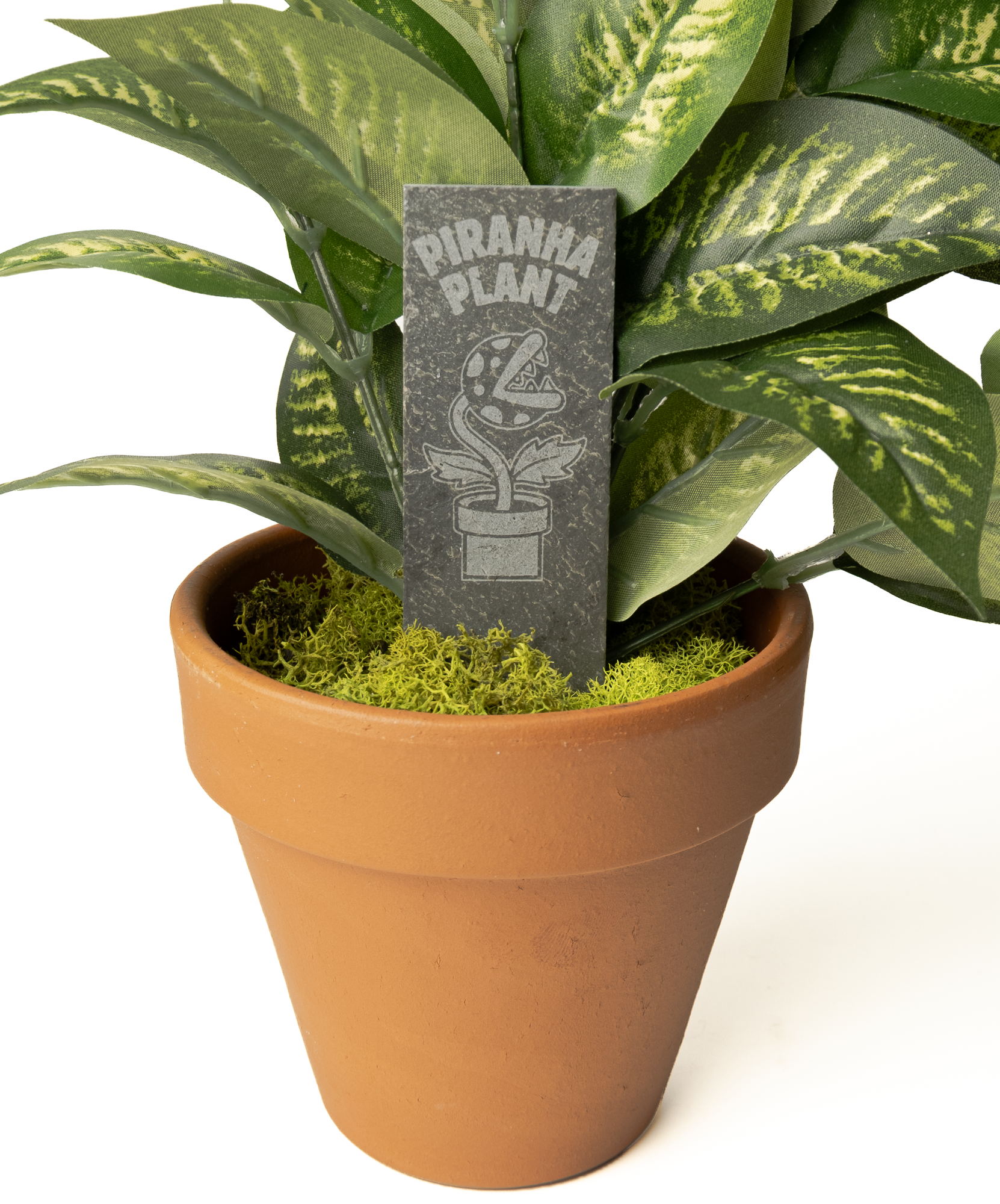 A terracotta-colored clay pot filled with green and yellow variegated faux piraña plant leaves, green moss, and a small engraved dark gray sign that reads 'PIRANHA PLANT'.