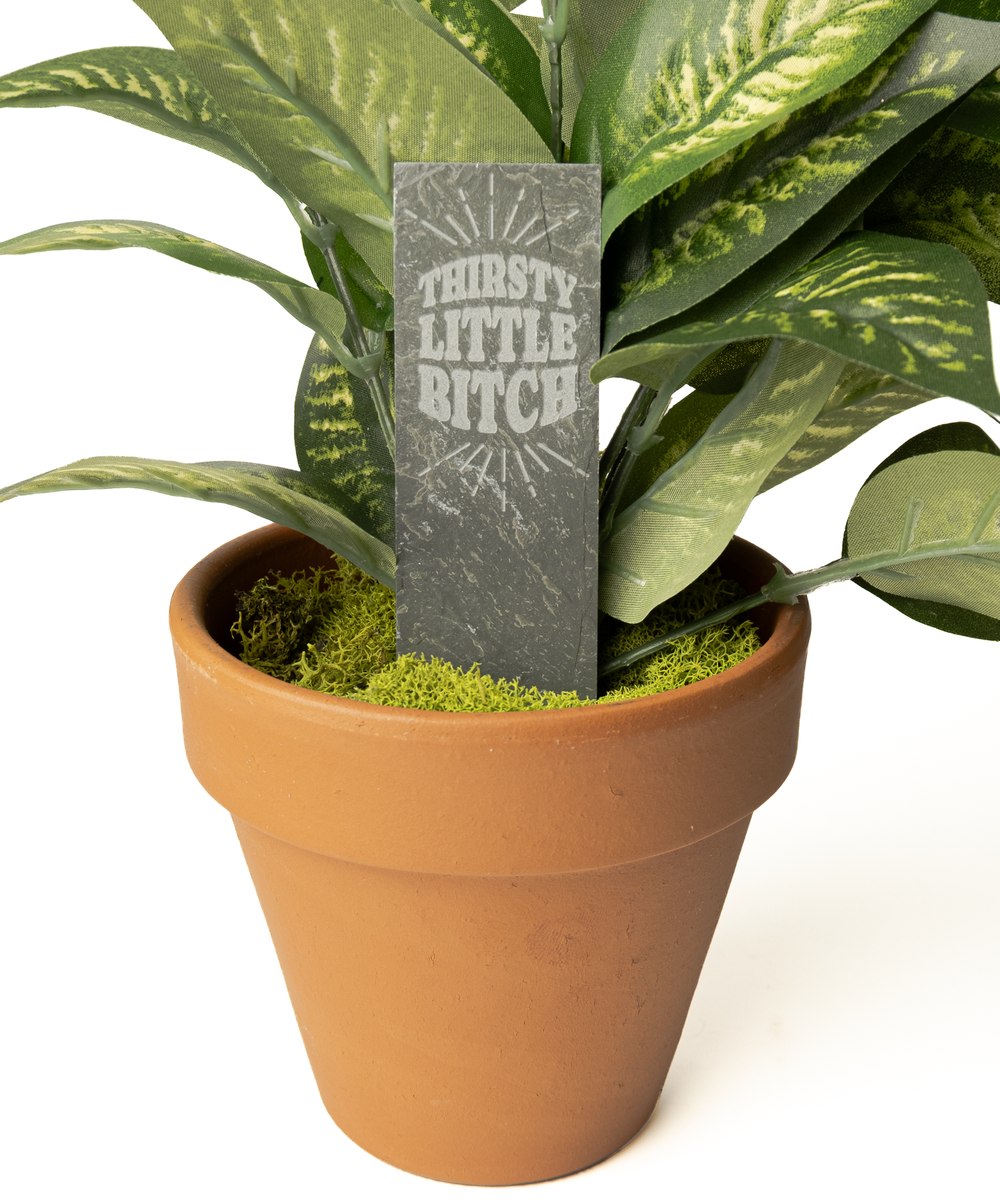 A potted artificial plant with green variegated leaves in a terracotta pot, featuring a dark slate sign in the center that reads 'THIRSTY LITTLE BITCH' in a distressed white font.