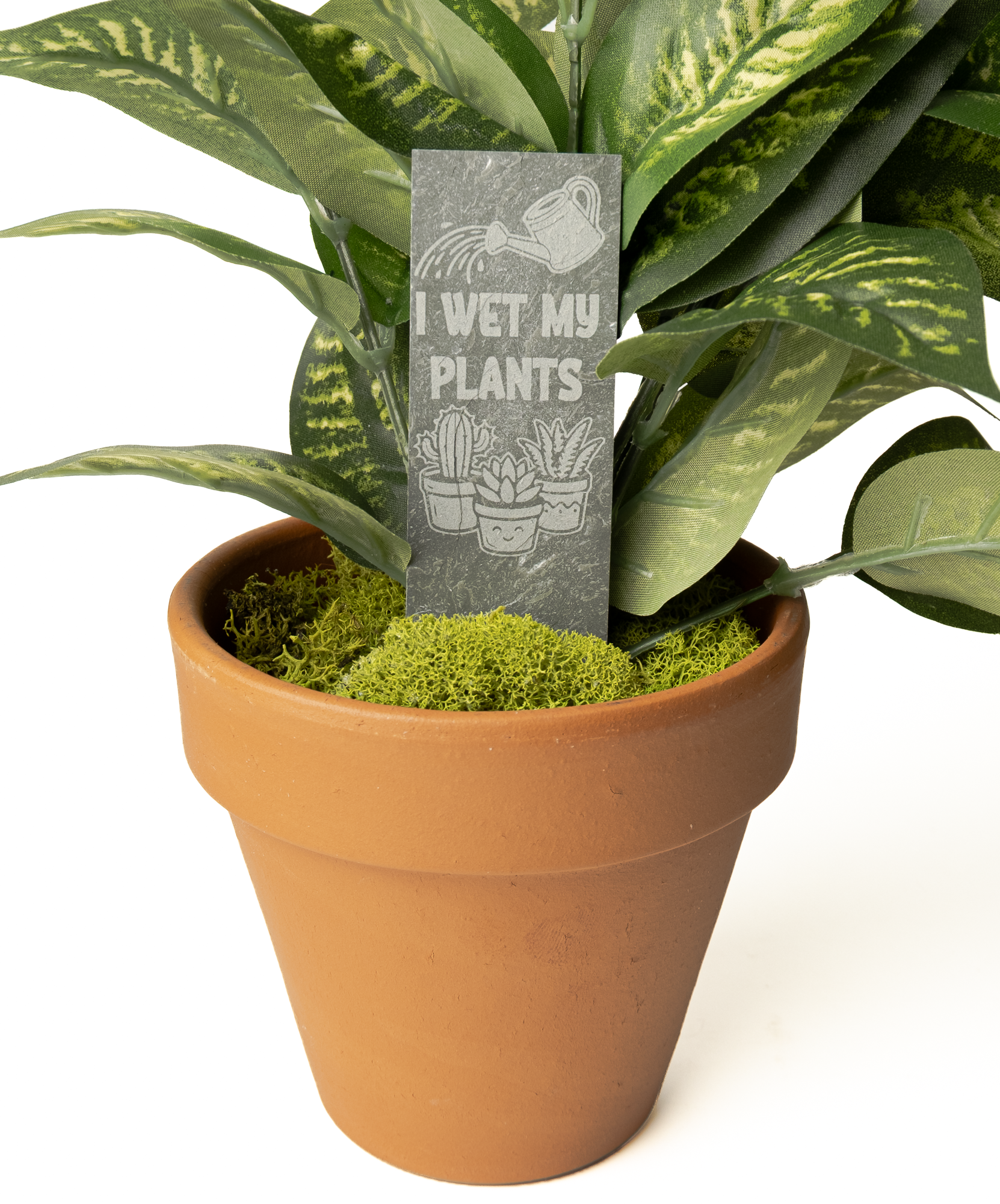 A terracotta-colored plastic pot filled with green moss and a leafy plant, featuring a small gray rectangular sign in the center that reads 'I WET MY PLANTS' with an illustration of potted plants and a watering can.