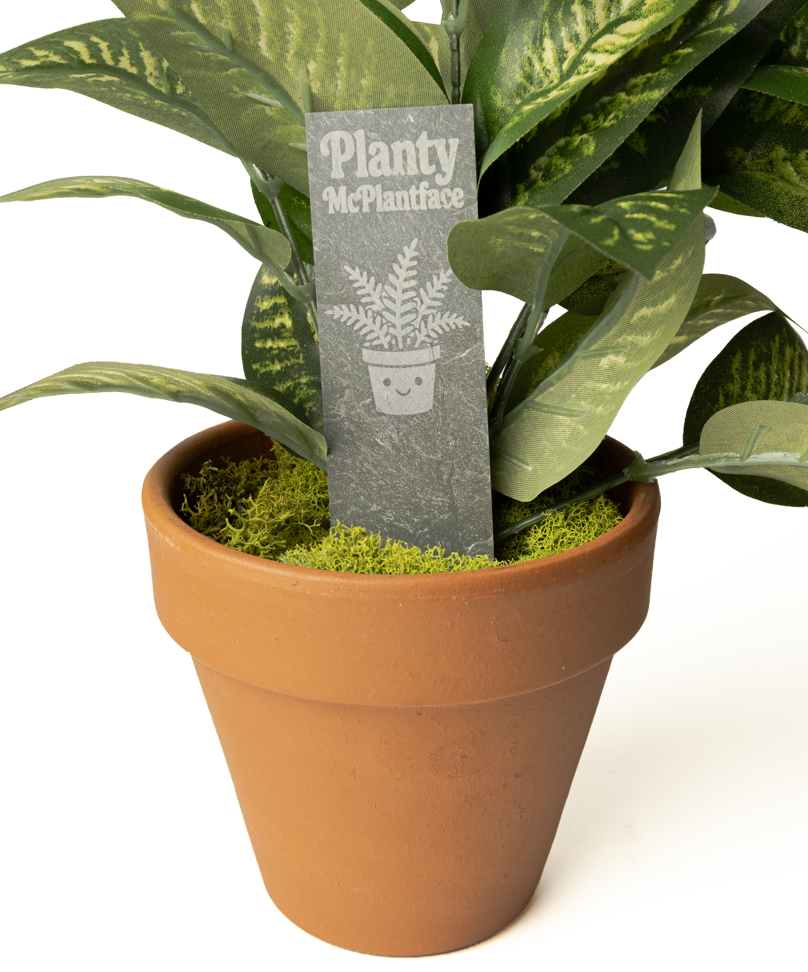 An artificial potted plant with green and yellow variegated leaves, planted in a terracotta-colored pot with green moss, featuring a gray 'Planty McPlantface' brand tag.