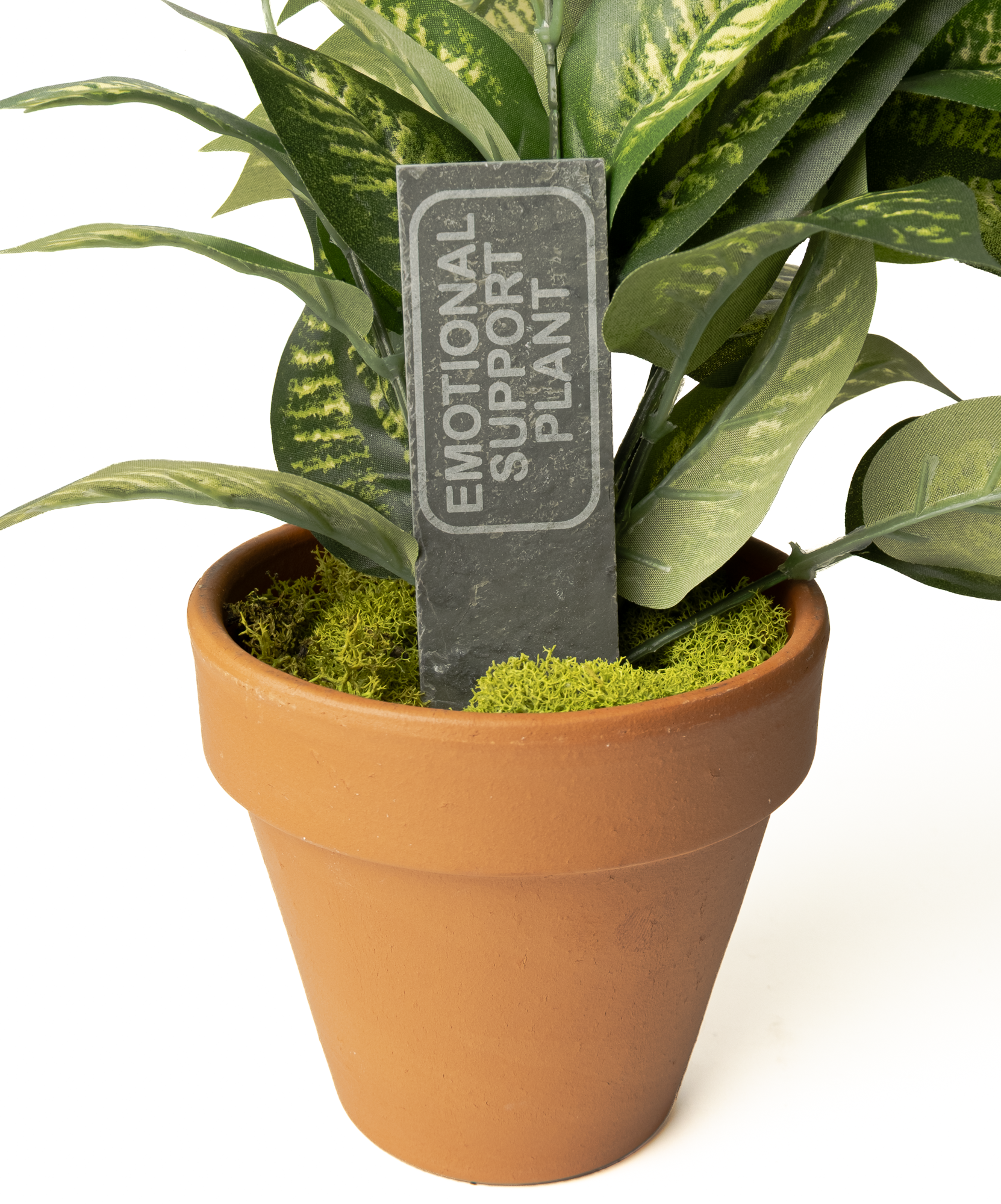 An artificial potted plant with green and yellow variegated leaves, planted in a terracotta-colored pot with green moss, featuring a dark gray stone tag that reads 'EMOTIONAL SUPPORT PLANT'.